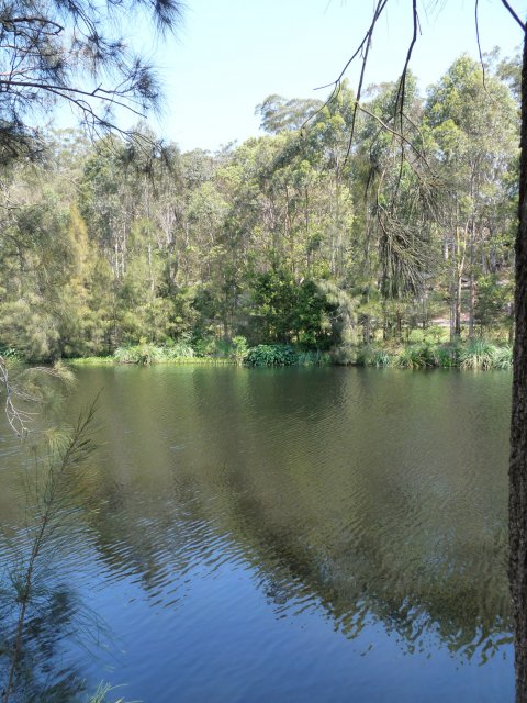 Lane Cove River